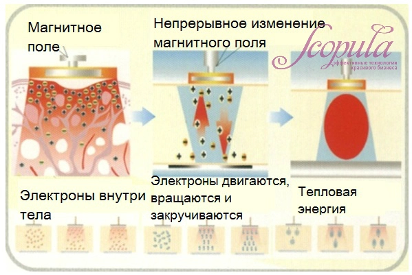 DH-02 2.jpg